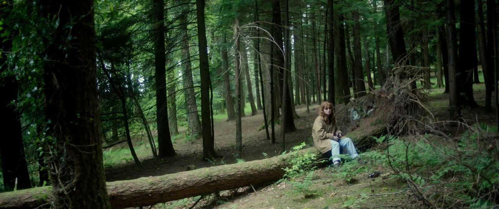 Comeragh Mountains forest location from Tuesday Traders